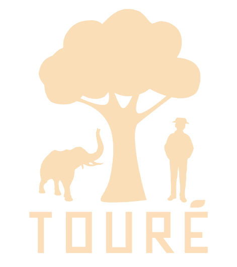 Toure Cosmetics